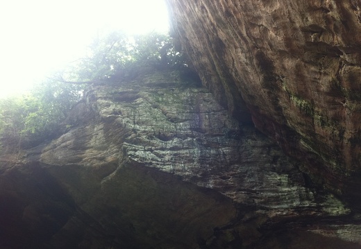 Sheltowee Trace, Red River Gorge